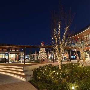 ふかや花園プレミアムアウトレットのフリーWiFiの使い方・安全性の解説【現地レポート】